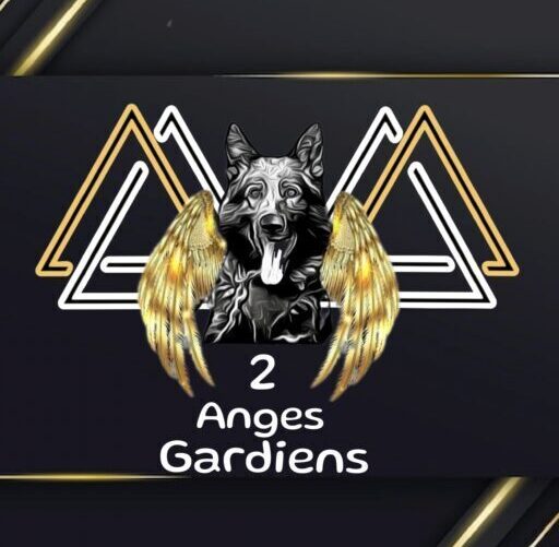 2 anges gardiens